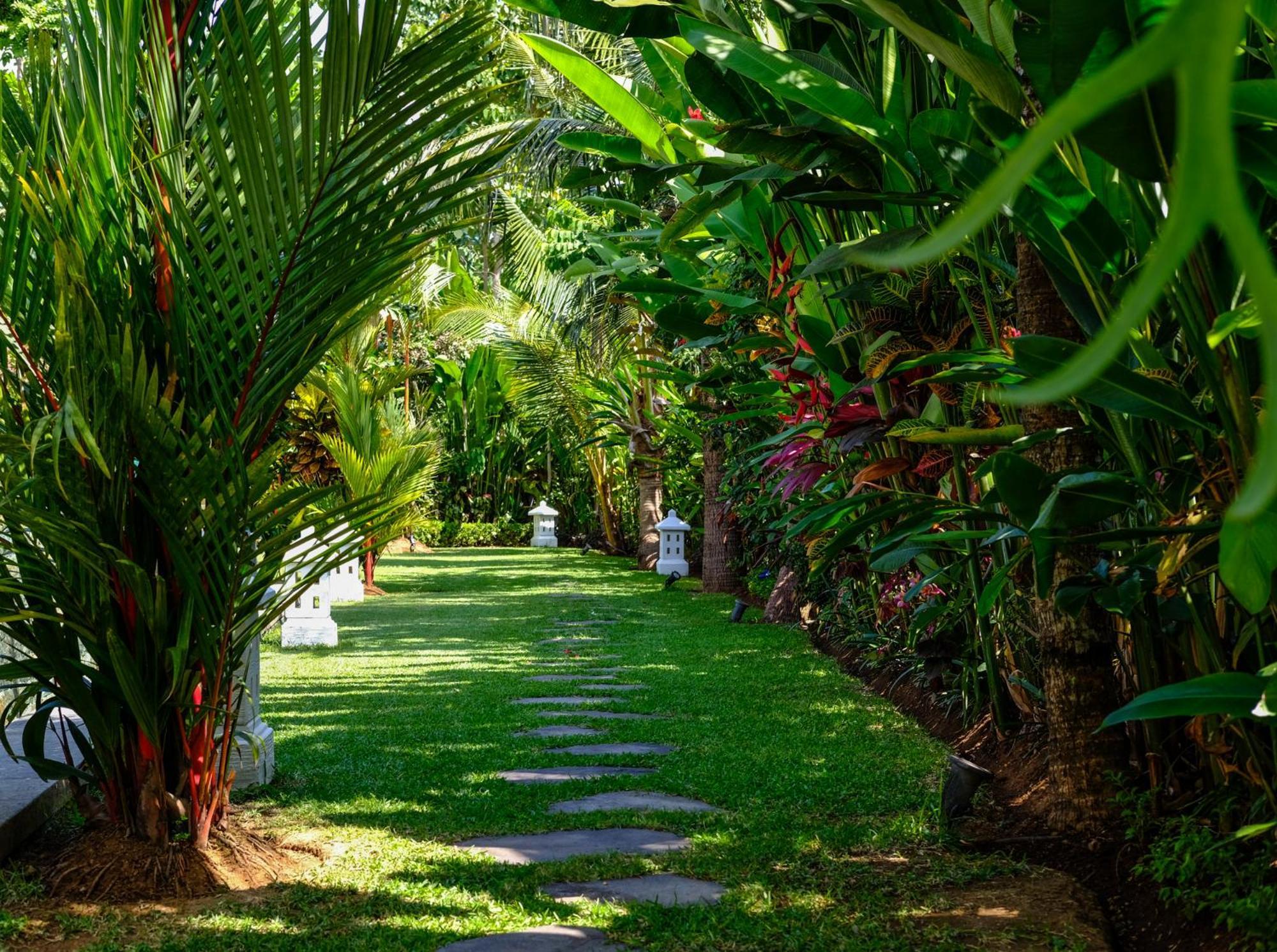 Villa Mata Hari Panji Exteriör bild